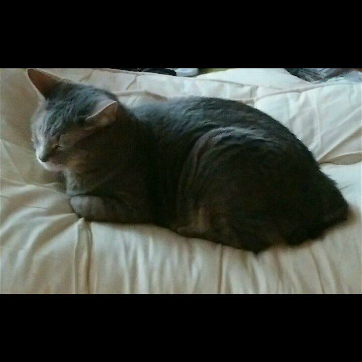 82fe930b 1098 4c7d 88c5 8526b58be25e 1569019411633