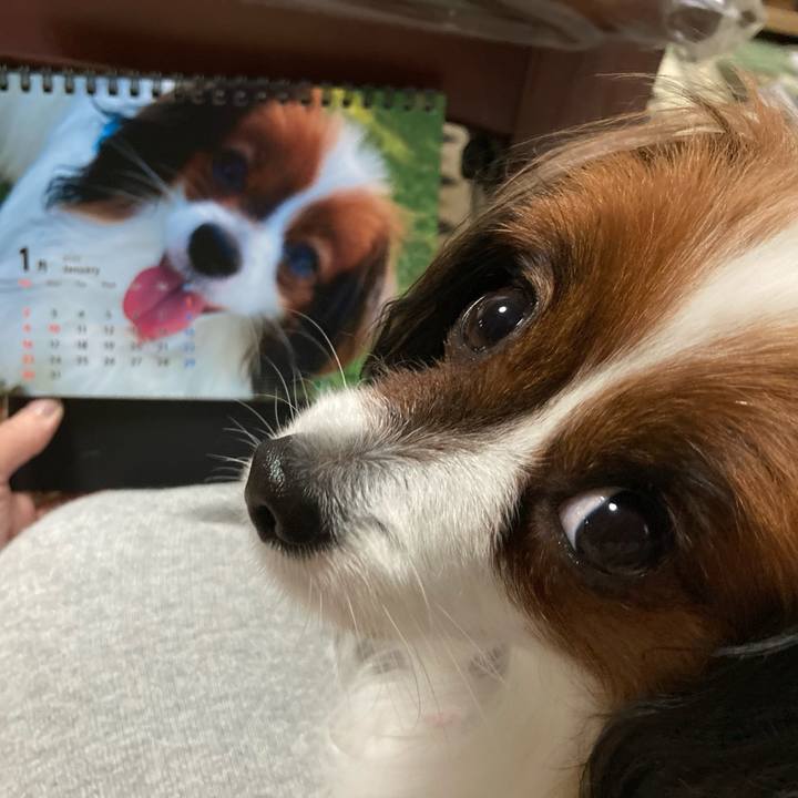 82fea174 cdc1 4fd5 a23d 560a8f2dd09c 1637304147627