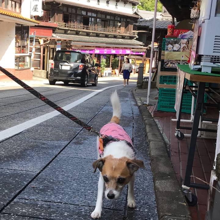 82feead9 07b8 4144 bac2 8b6f3fc6c9af 1538809596586