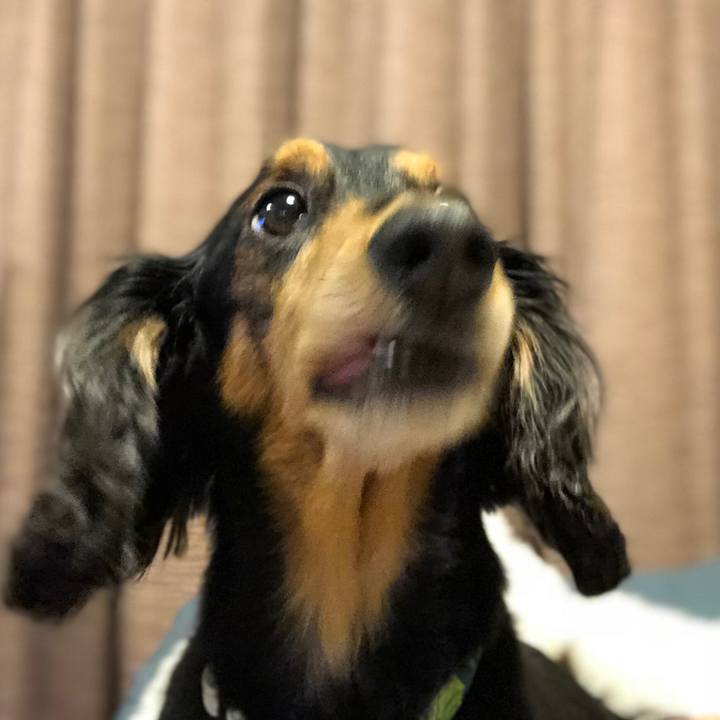 82ff08e8 534a 46dc 9135 d1b5ed329069 1529405821249