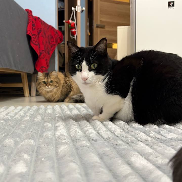 82ff0c9e c996 4c8f 8730 a63e89d5b89a 1765896515332