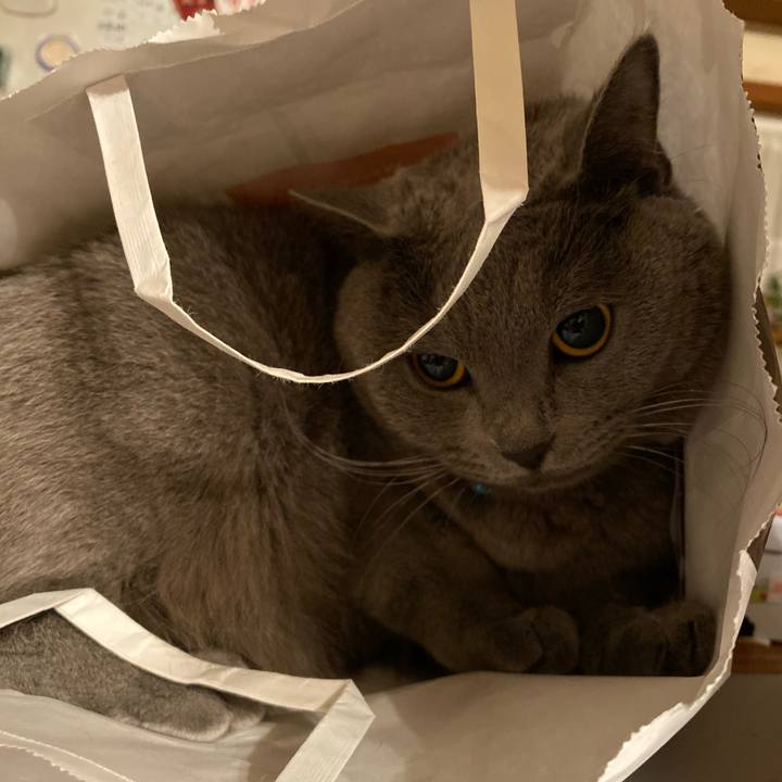 82ff0d1a 6ca5 4132 b474 b0ffc760581f 1574440928418