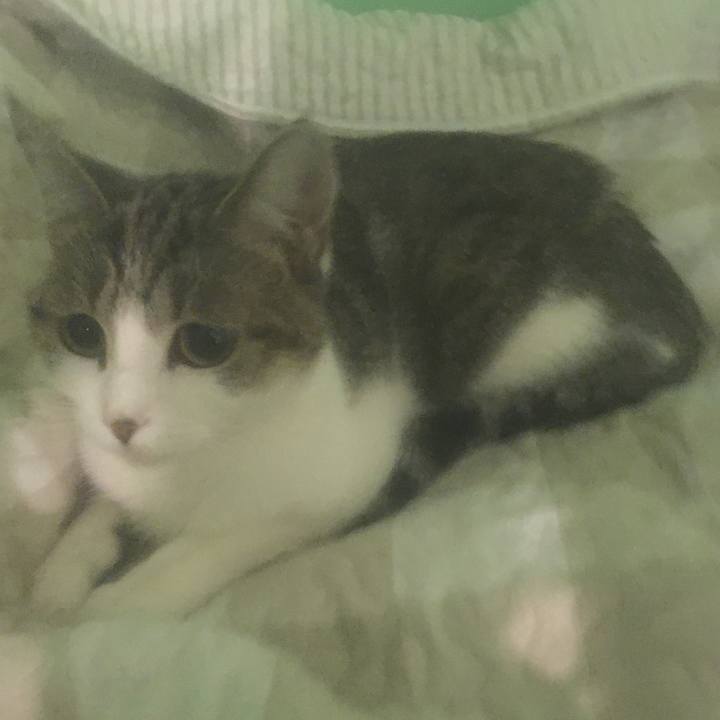 82ff1652 b587 4fb7 b16d f68e9ddc88ce 1632793231113