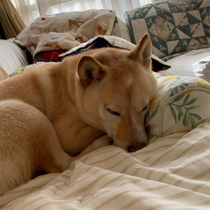 82ff3378 60a1 40fa 8400 6a4980939675 1647300754371