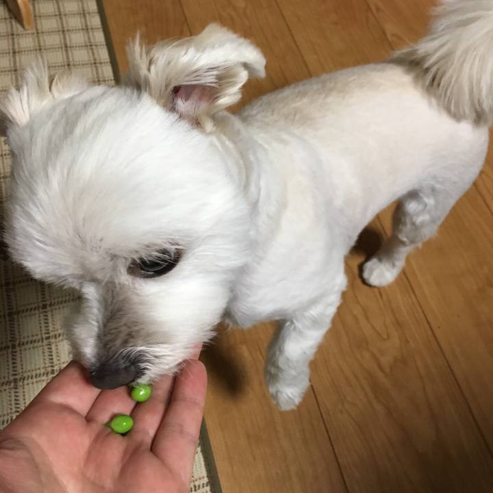 82ff742d 4dba 412b 9055 0fde510ee2d4 1525090184628