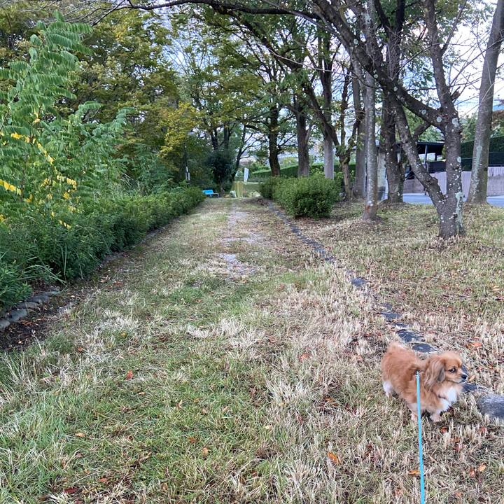 82ff8be8 8118 4cb6 9342 ee29edc67235 1603663771709