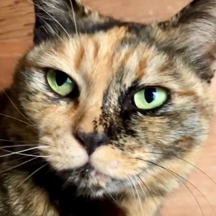 82ff98be 4e27 4255 b8ee 8c021a52e30e 1743299986024