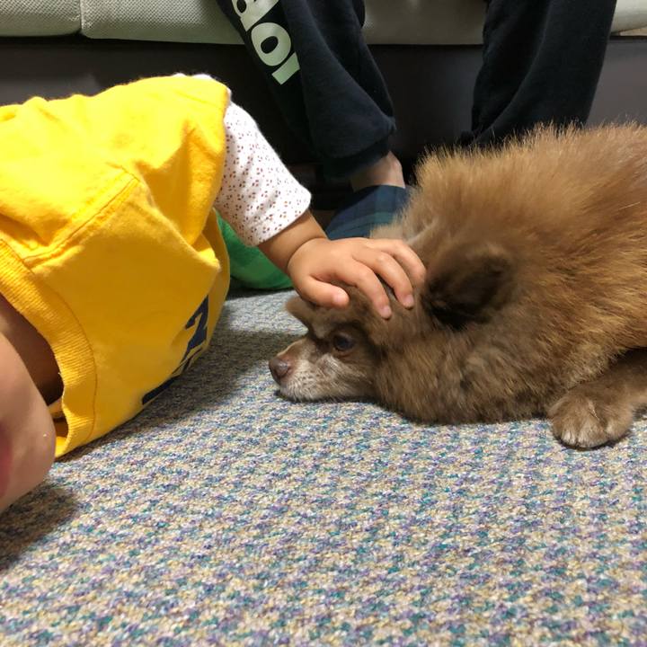 82ffadd7 56c1 4551 a6e5 d141bc3c51c0 1540767565692