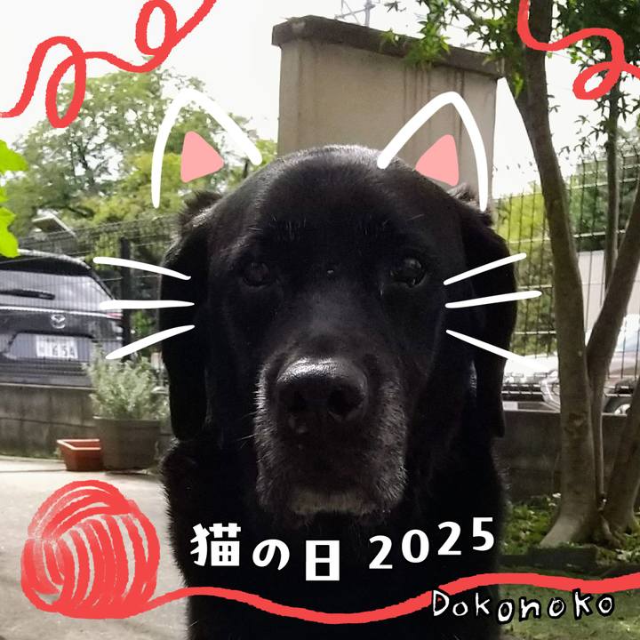 82ffe3db 598f 485e 9bc5 b877ca3ecd46 1740130778206