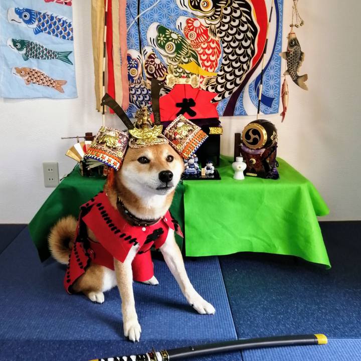 82fffdce 0170 4fd8 9db6 431f32d57433 1620019534037