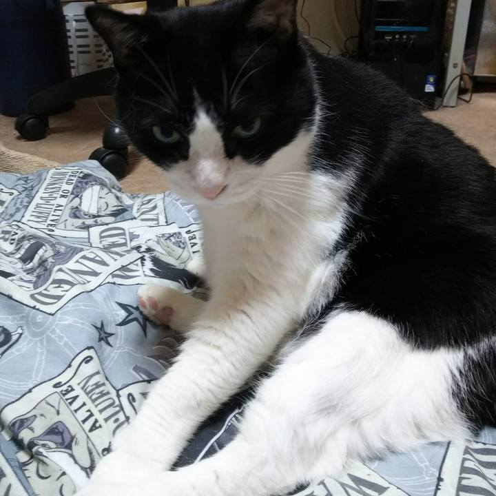 8300091a 3cf2 4b67 9639 88a670ce50a1 1532385234643