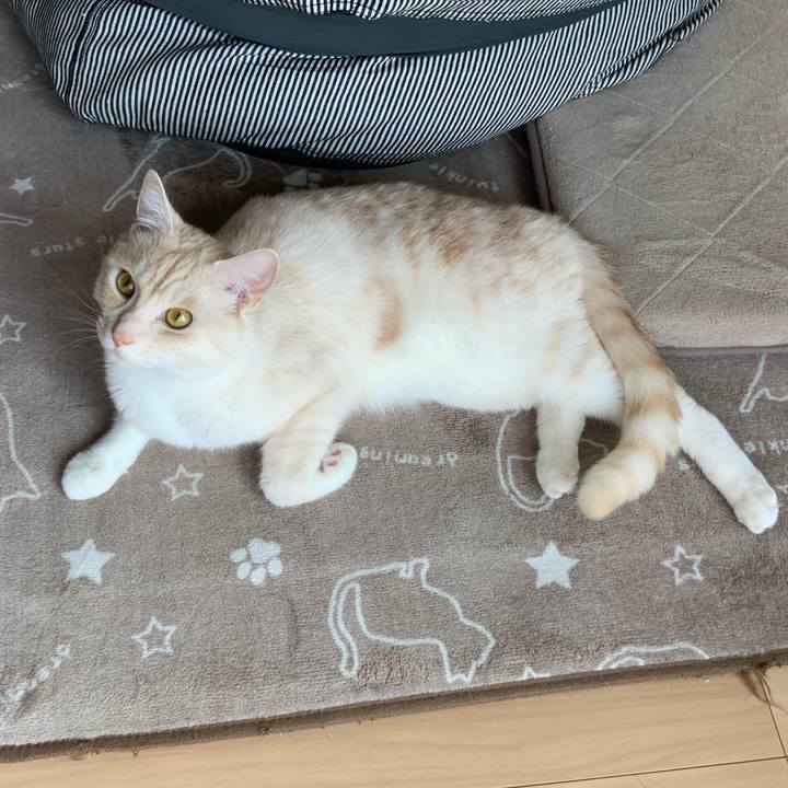 8300151d 2700 4e42 a90f 5324a7c45547 1684279898752