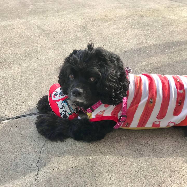 83004866 0584 469e abff 510f2e441b32 1571551237380