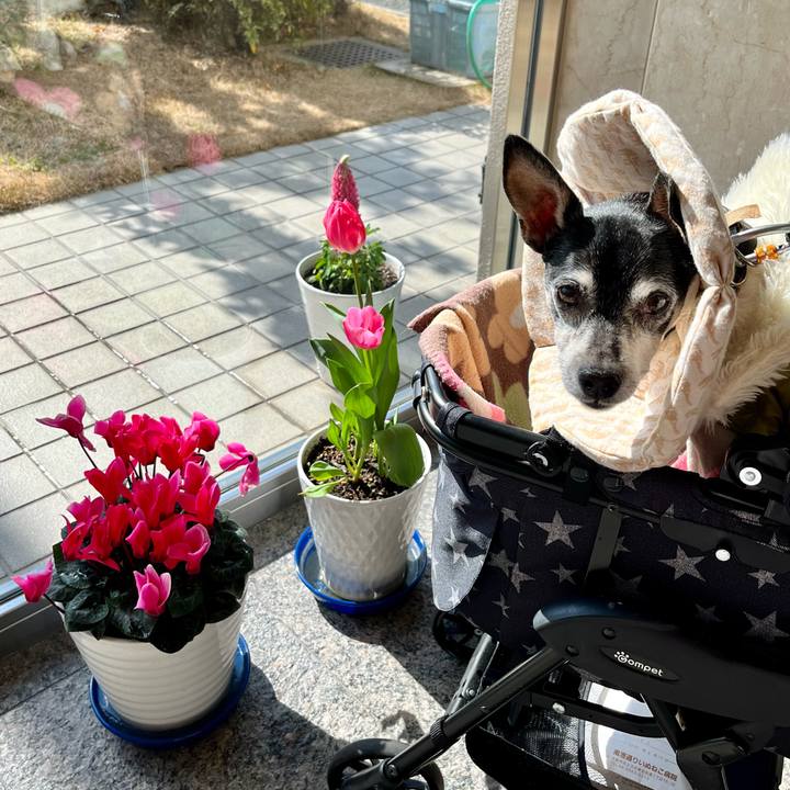 83006d23 afc1 47a7 b98d 5edcabd6d691 1644633787394