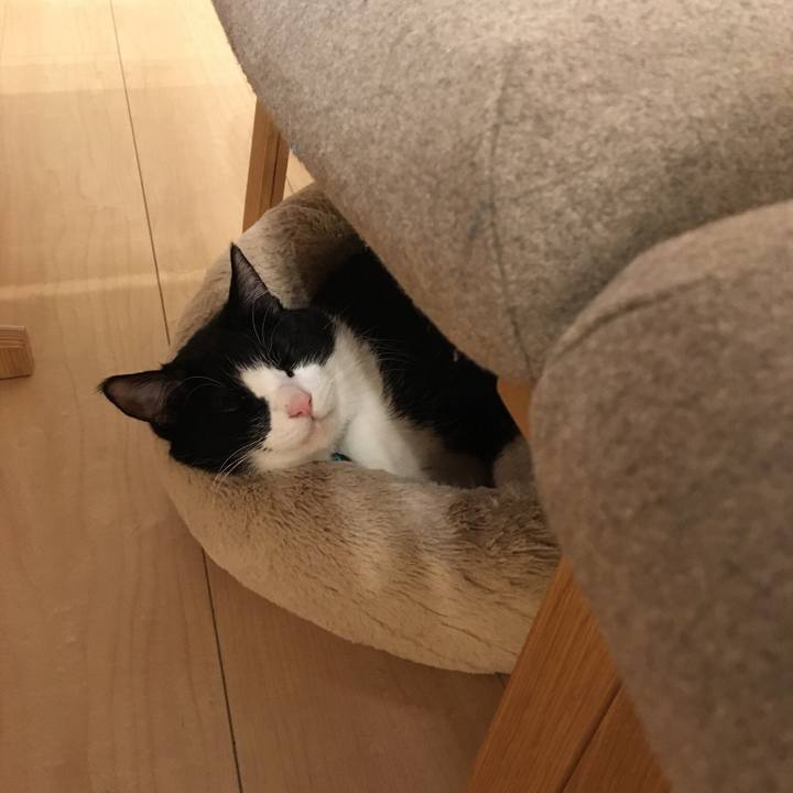 83006d73 5203 4170 9279 d755717ff195 1516494357928