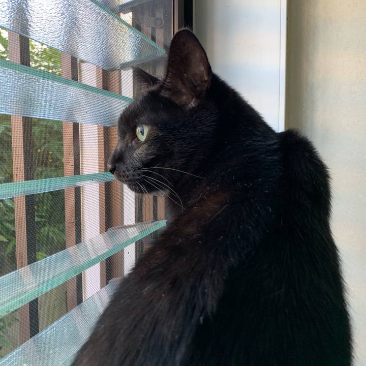 830098bb 3245 4bf9 9cd8 e1cb57fd26a6 1540085762495