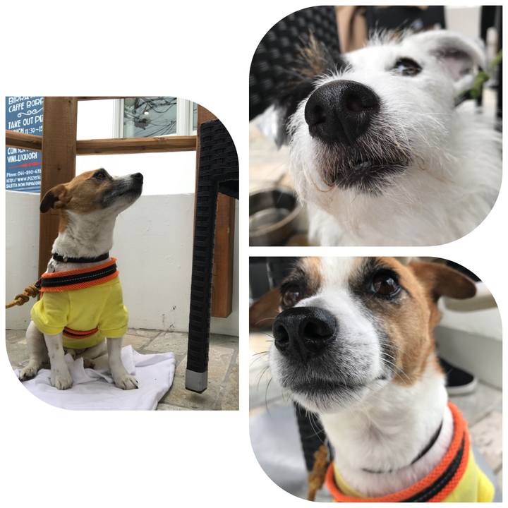 8300a208 55c4 461e b77f f31d4d692c8d 1529123371786