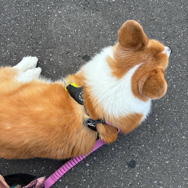 83010446 4003 4ce3 a642 390620d727e5 1757130832972