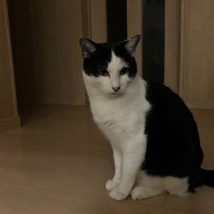 83012d3d 39ee 4408 9620 ddf0553e374f 1548265028271