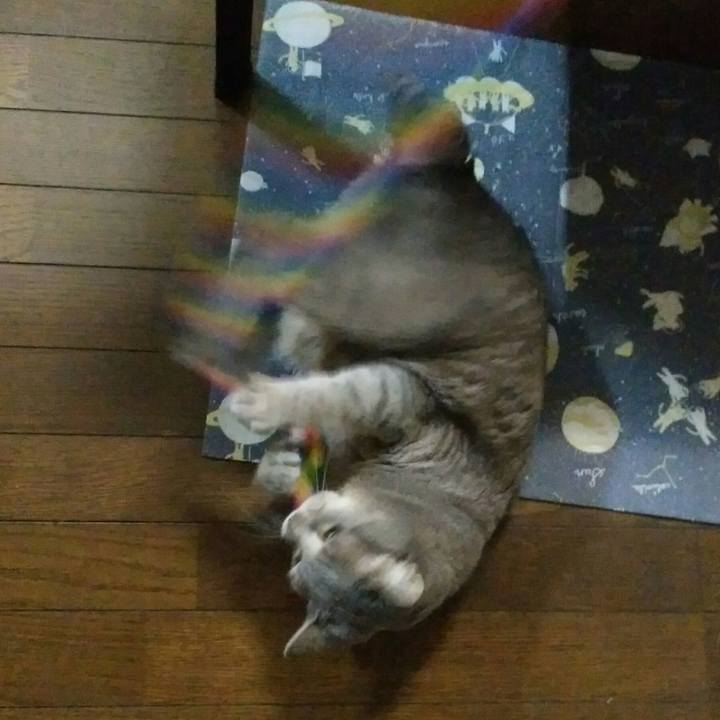 83015005 b95c 4931 9364 a740e5836cad 1555928987325