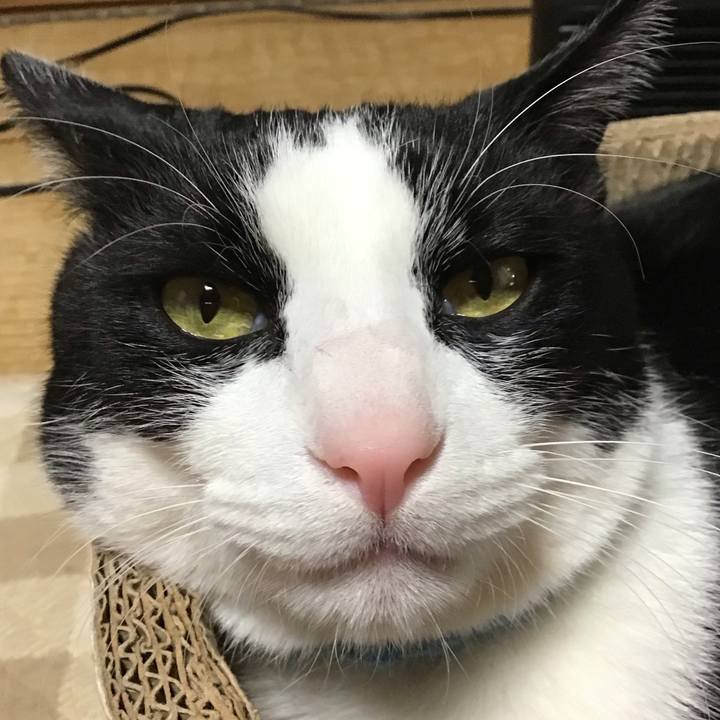 83015c00 85a6 49a7 9099 5b89745518cb 1740821314455