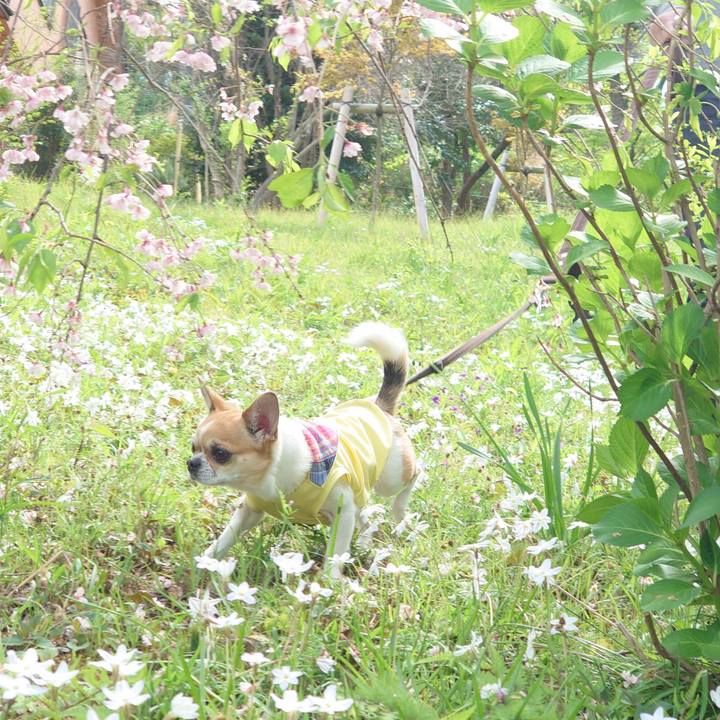 8301cbbf 27c8 45d0 b5da 675f64aed62b 1681027418214