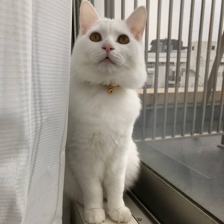 8301d19e 5a51 4ac4 b721 bcd33ac80521 1517626909705