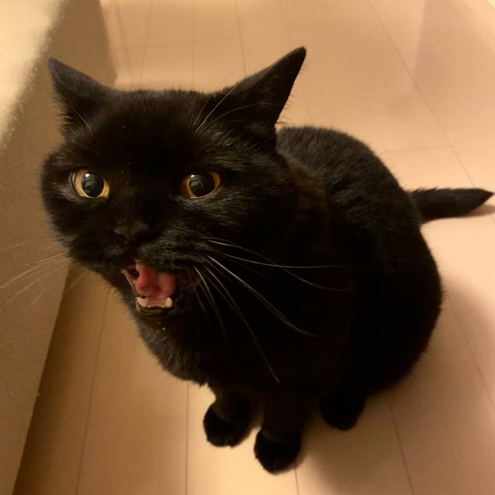 8301d5e8 0e52 4f4a bd50 d91291ff4df9 1751028881236