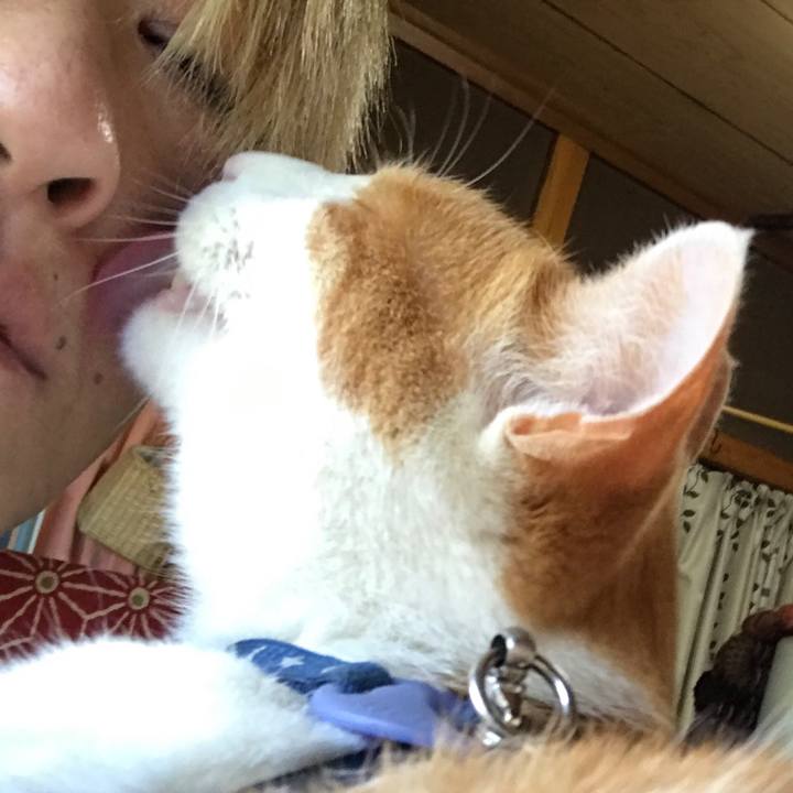 8301f6f6 9501 4b95 bac5 fc15fe53d3f3 1526983612040