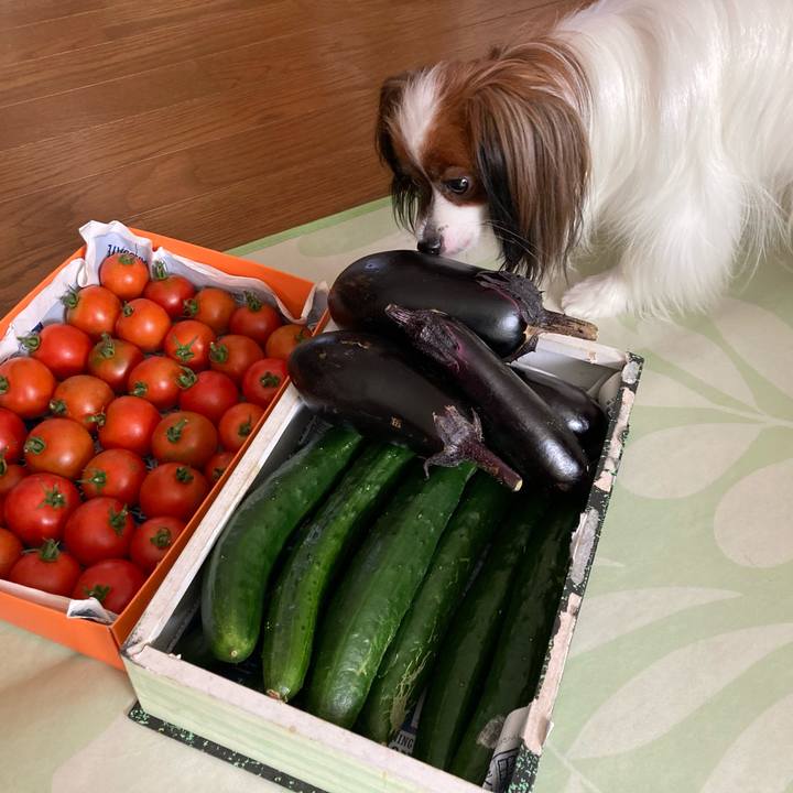 8302273c 2b79 439a 8ceb 02f4a2c46c6b 1630562897699