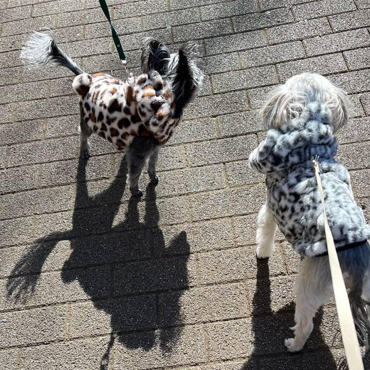 830229e1 5055 4edc bd89 854967c19ad9 1768015875693