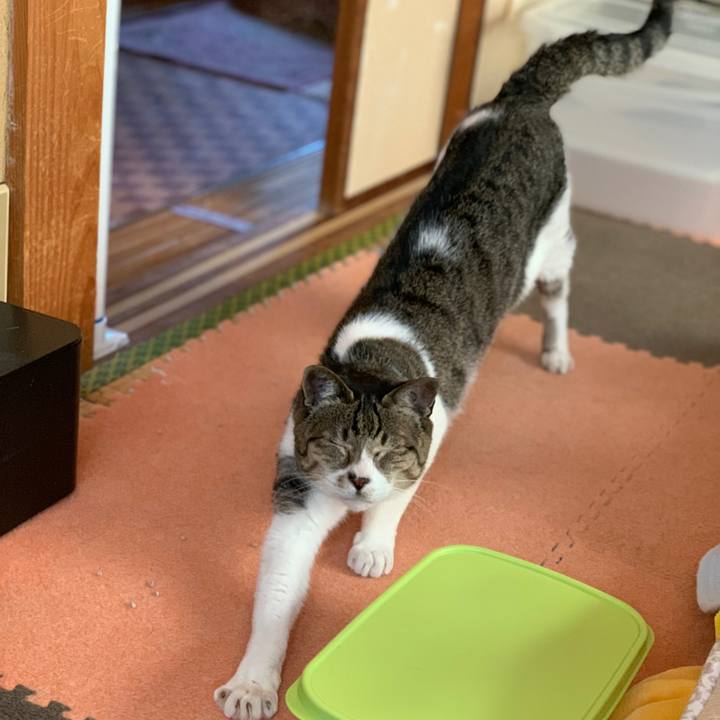 830229e9 e252 4038 892f ebec8b3670fb 1592959916666