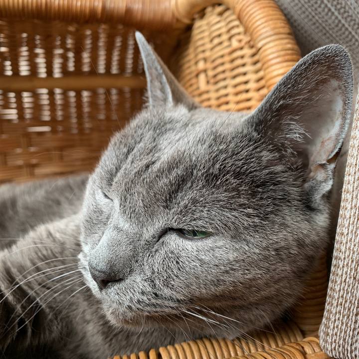 83024b07 02df 45ae 8960 bbba65b61609 1637973859761