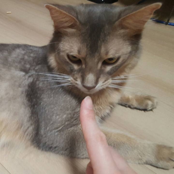 8302630e 10ab 42a6 a5fb d0b10dd2e4cc 1532428453533