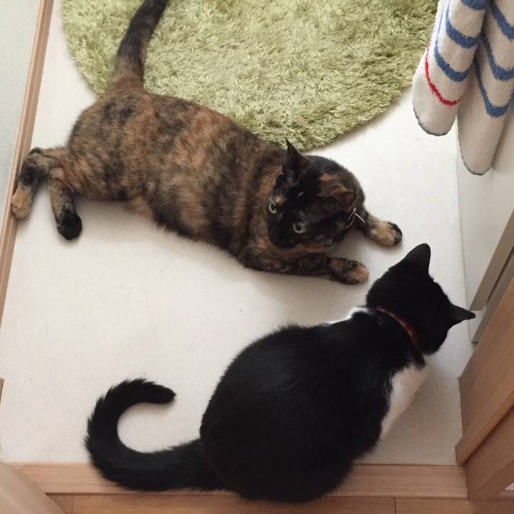 830296e7 f527 4b8f bfaa d6b106dcbdd0 1531184746411