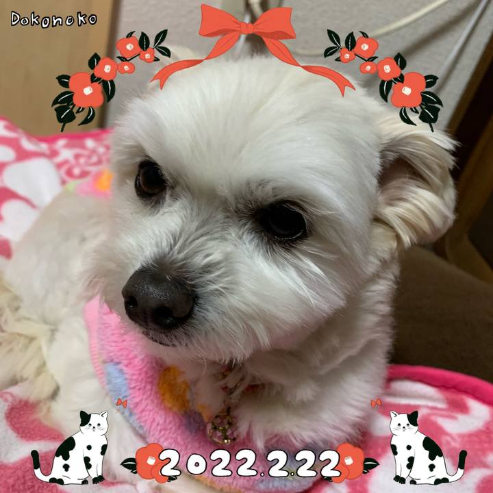 8302e598 a48b 4c9e 98f3 627e892a0b3e 1645527329346