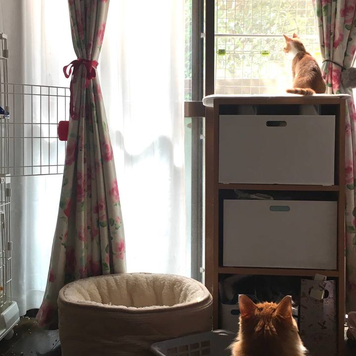 8302ebff fd0c 41a4 aee7 57e228f36234 1632483484489