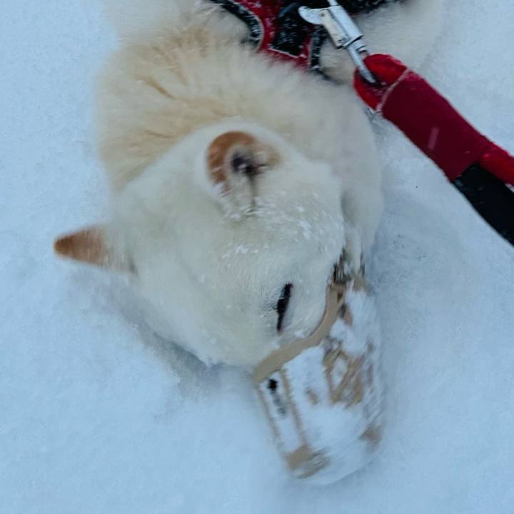 83034608 efa0 4838 9bee f1e54dea9bbe 1766720751166