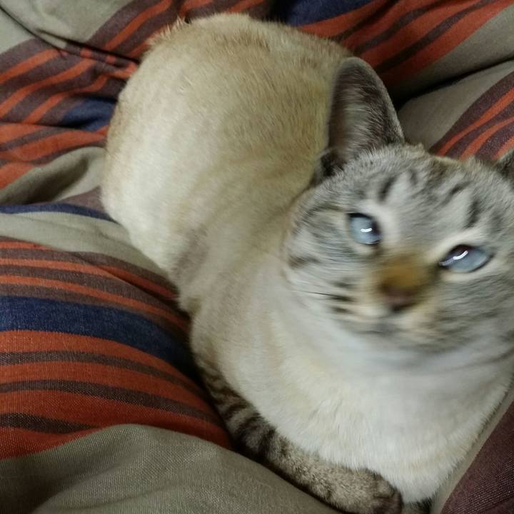 8303c608 8196 4abc 9648 d9fbc6ee518e 1520776245428