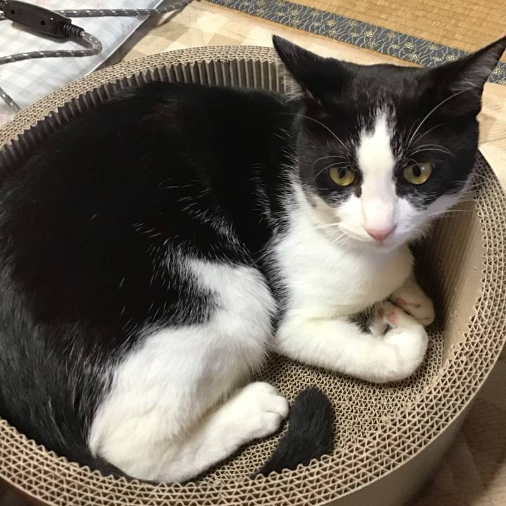 8304233b 4d8d 46c1 be5c 22461bd6b227 1697885125666