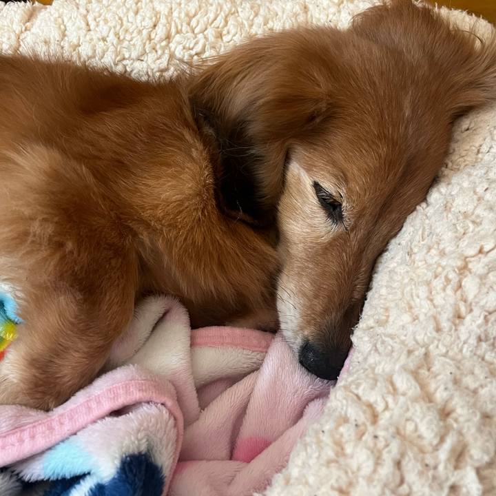 830443b8 3462 4a7c ae5a 656fec83aa4c 1673605574602