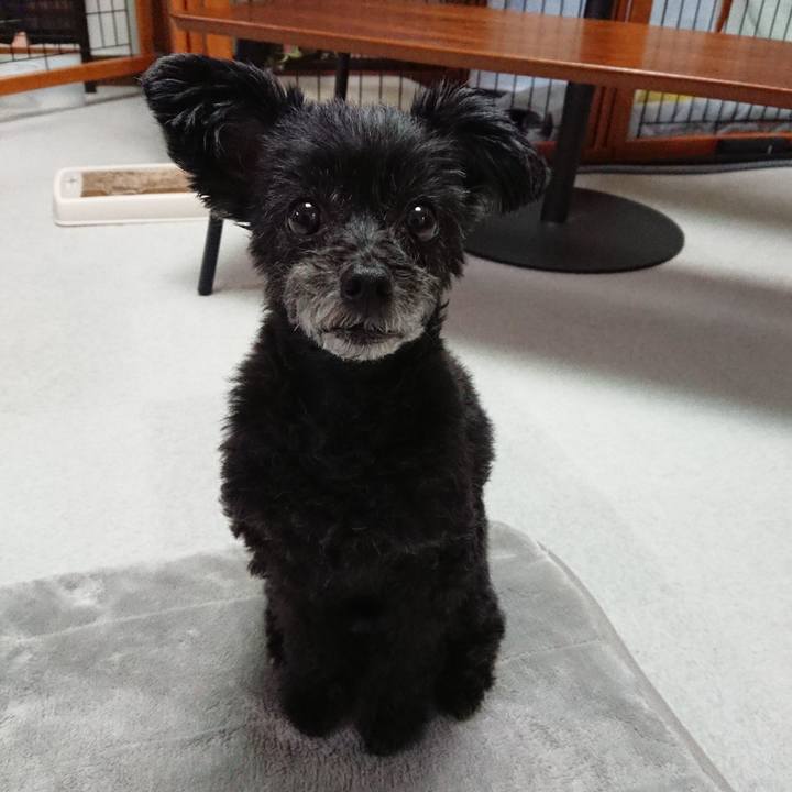 830469bc deb2 4295 b276 94552501d5e0 1603972943362