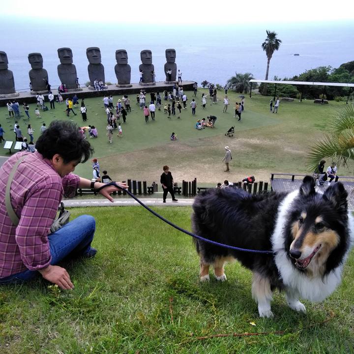 830483a7 b596 46f3 a9f3 3ac231e99c6a 1557063707876