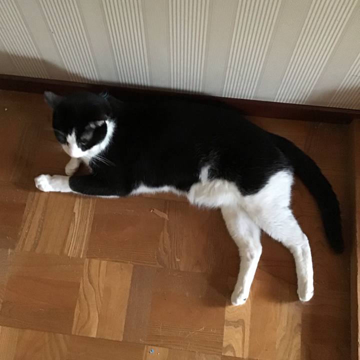 8304b79c 46da 45f4 821f 8fbccb8b8720 1757154118716