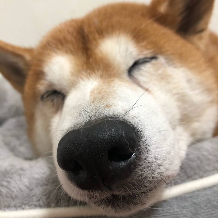 8304bbe3 706f 4f6c 8bd9 3724e0200364 1573863772912