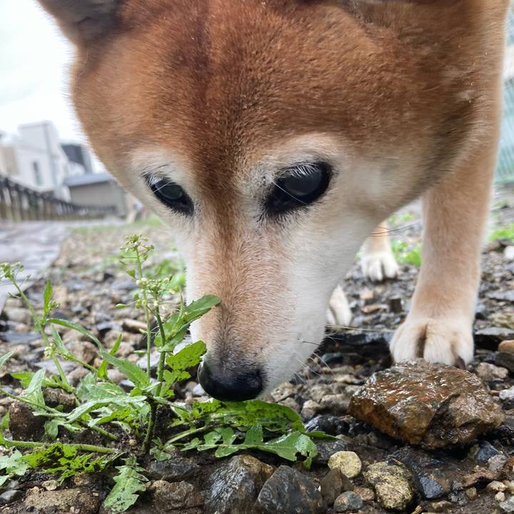 8304d989 9ad8 4181 812d 73051d46ed65 1679989845621