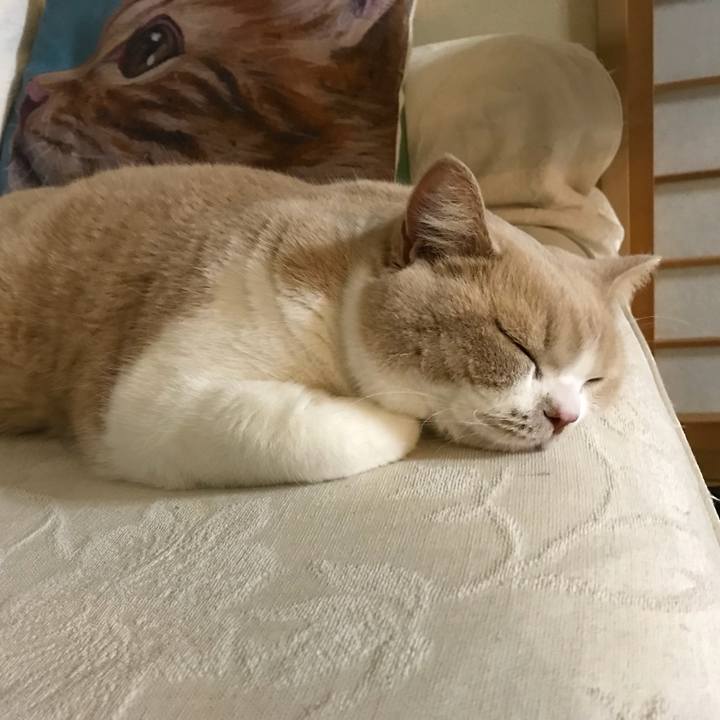 8304da2d 258f 4488 9792 350753bdda42 1515384320888