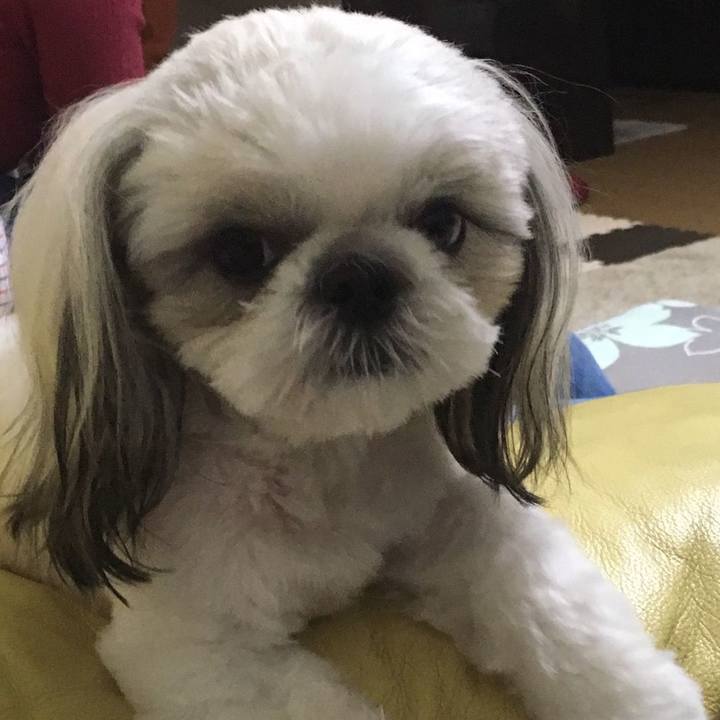 8304f053 10e4 4d92 9b3b ae36335c3305 1554502560961