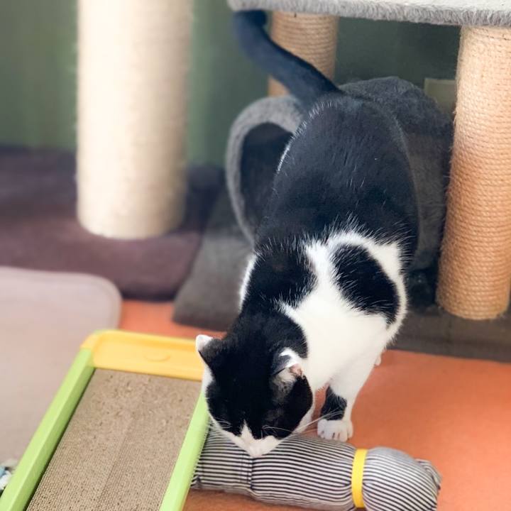 8304f1eb 6f84 4acb ae67 5360b5b6d22b 1575425382695