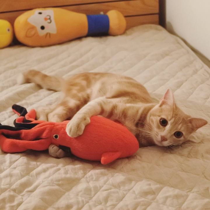 8304f6d2 47bd 4b18 8da0 ad877a263ca4 1564148340585